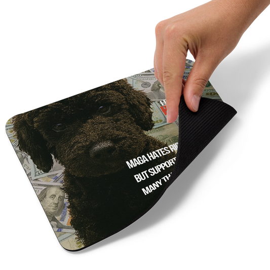 A hand lifts the bottom right corner of a standard-sized mouse pad printed with the large face of black dog with $100 bills behind him; political satire text and brand. This view shows the thickness of the pad.
