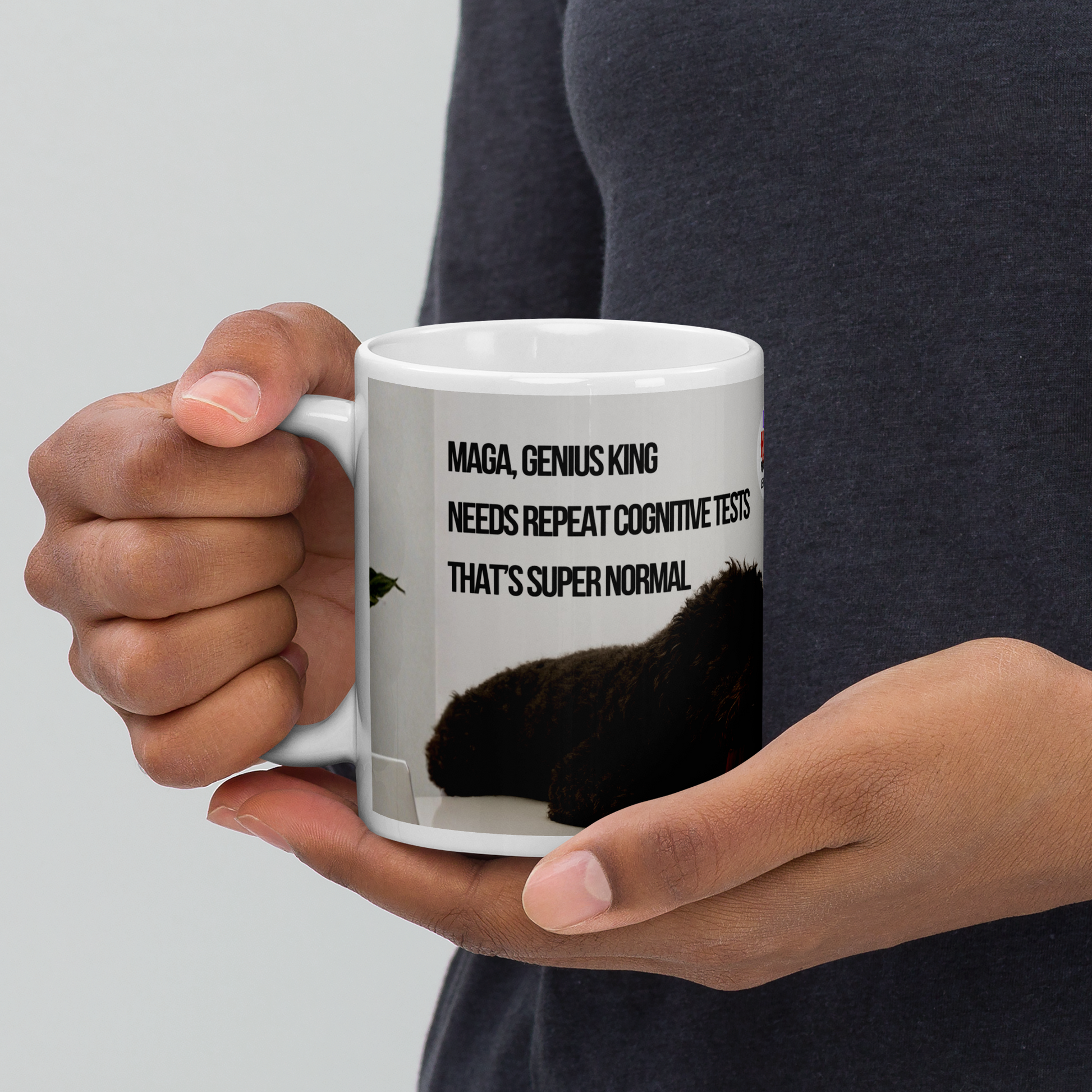 Hands holding a white glossy mug with a political, satirical, anti-MAGA haiku fully showing.  The body of the sleeping black dog is visible below the text.