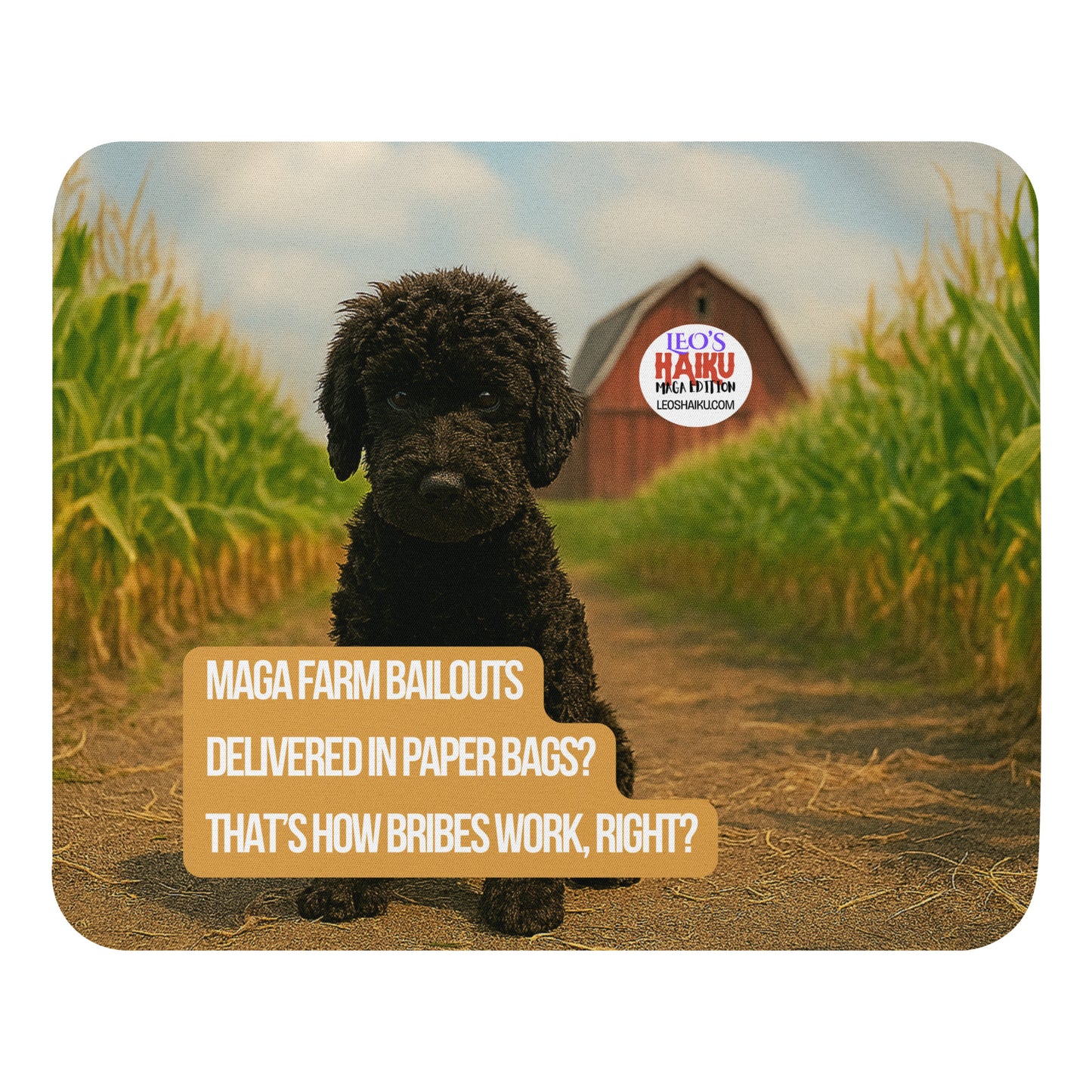 Leo the black mini poodle sits in a cornfield.  In the distance a red barn has the text logo for leoshaiku.com.  In the foreground, a political, satirical, anti-MAGA haiku says:  
MAGA Farm Bailouts
Delivered in Paper Bags?
That's How Bribes Work, Right?
