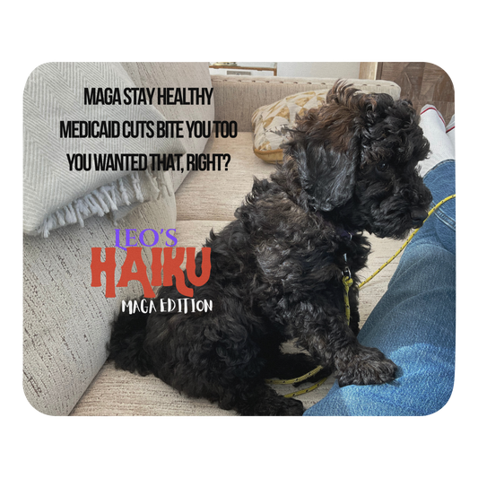 Standard-sized mouse pad printed with the side view of a poodle sitting on a beige couch, political satire in Haiku format, and branding elements.