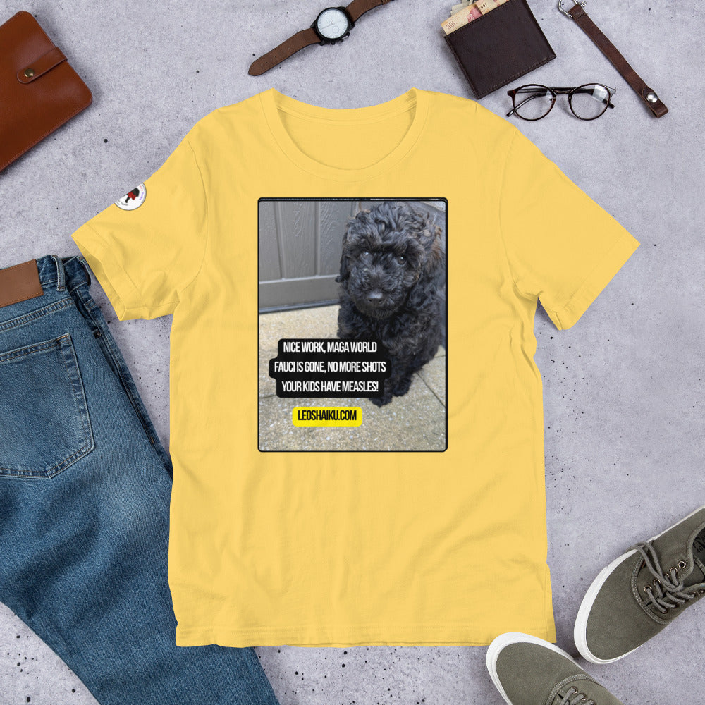 Yellow t-shirt surrounded by items to make an outfit - jeans, glasses, shoes, wallet, watch.  T-shirt is printed with image of a dog in the corner of our outdoor patio.  A political, satirical, anti-MAGA haiku reads:
Nice Work, MAGA World
Fauci's gone, No More Shots
Your Kids Have Measles!
Centered under that is leoshaiku.com in black letters on a yellow background.